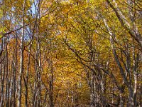 Beskid Niski